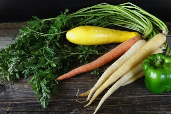 Fresh carrots, parsnips, squash, and bell pepper.